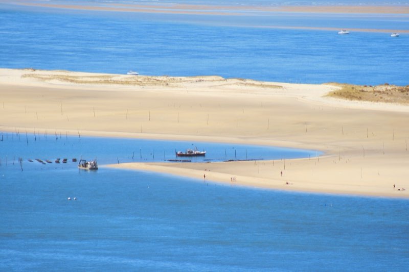 Le banc d’Arguin, à l’entrée du Bassin d’Arcachon